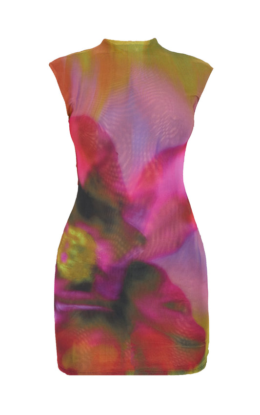 Multi Abstract Mesh Print Mini Dress
